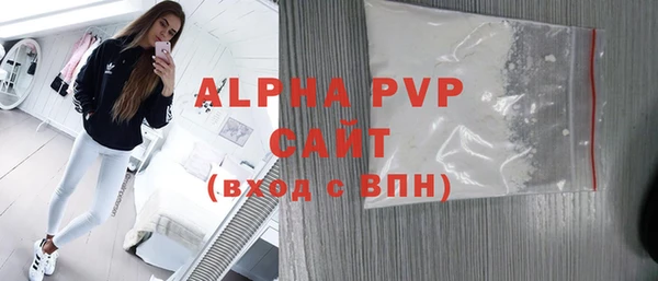 индика Алексин