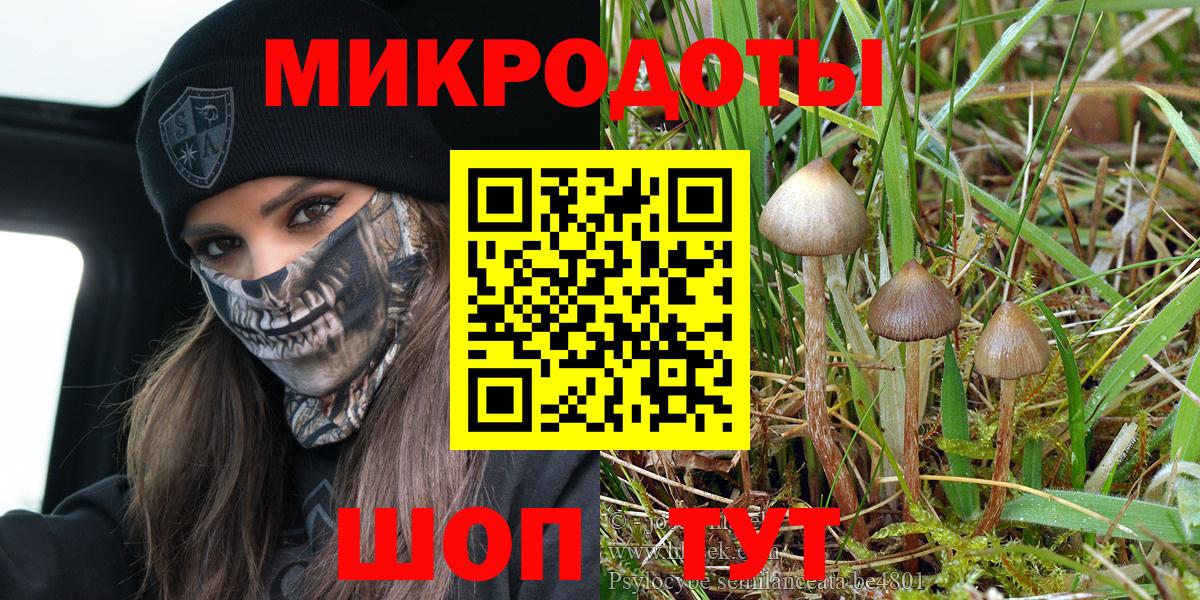 Галлюциногенные грибы мухоморы Верхняя Салда